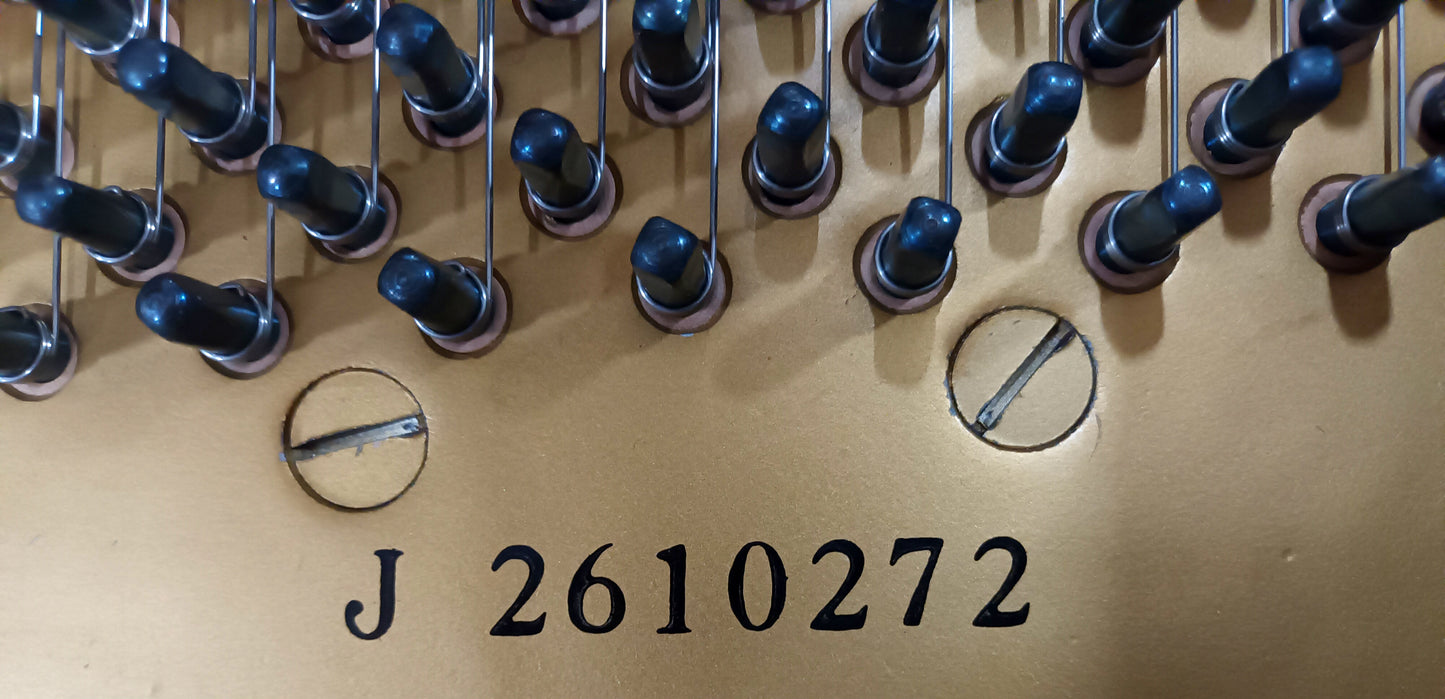 Yamaha G1 (Beginner to Advanced)