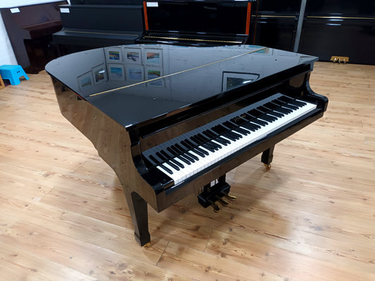 Carlmann (Beginner to Advanced)