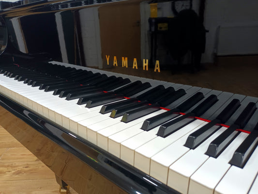 Yamaha G1 (Beginner to Advanced)