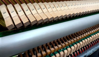 Yamaha YS1 (2016)