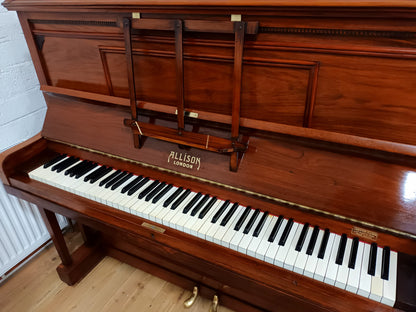 Allison (Beginner/Intermediate)