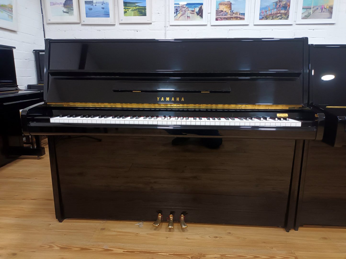 Yamaha P116