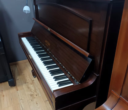 Hopkinson (Beginner/Intermediate)