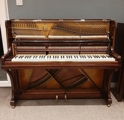 Collard (Complete Restoration)