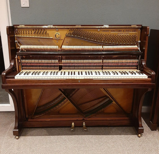 Collard (Complete Restoration)