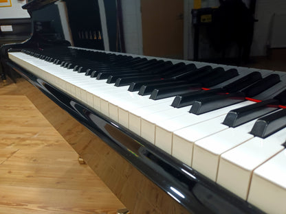 Yamaha G1 (Beginner to Advanced)