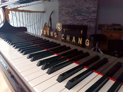 Young Chang TG150 (Beginner to Advanced)