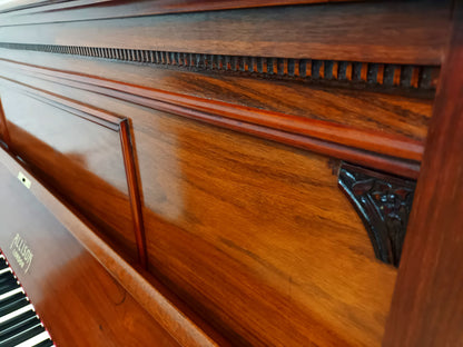 Allison (Beginner/Intermediate)