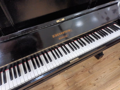 Bechstein (1894)