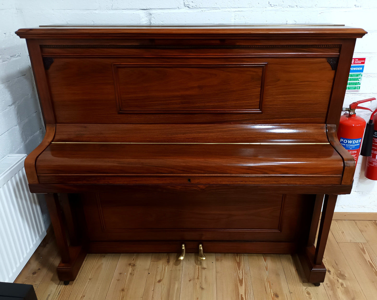 Allison (Beginner/Intermediate)