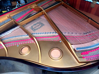 Young Chang TG150 (Beginner to Advanced)