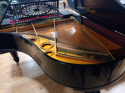 Bechstein Model A (Beginner)