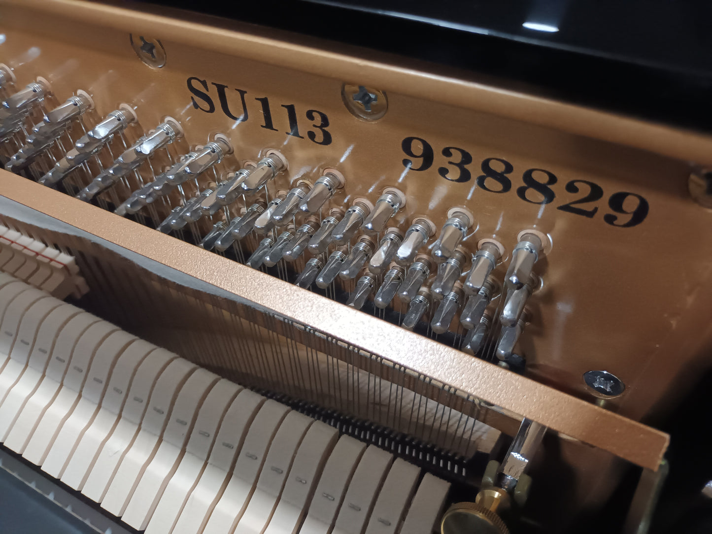 Steinhoven SU113