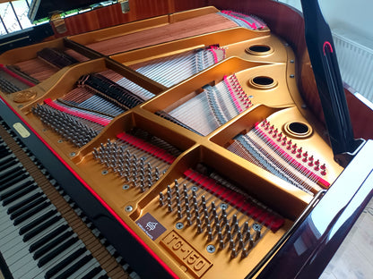 Young Chang TG150 (Beginner to Advanced)