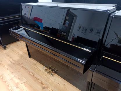 Yamaha P116