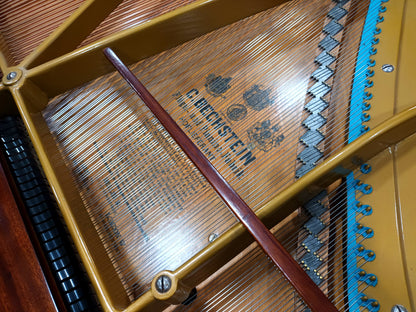 Bechstein Model B (Restored/Rebuilt)