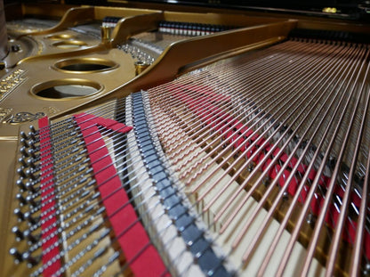 Steinway Model O