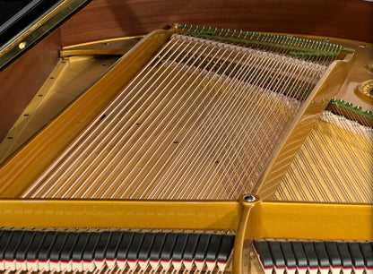 1927 Bechstein Model M