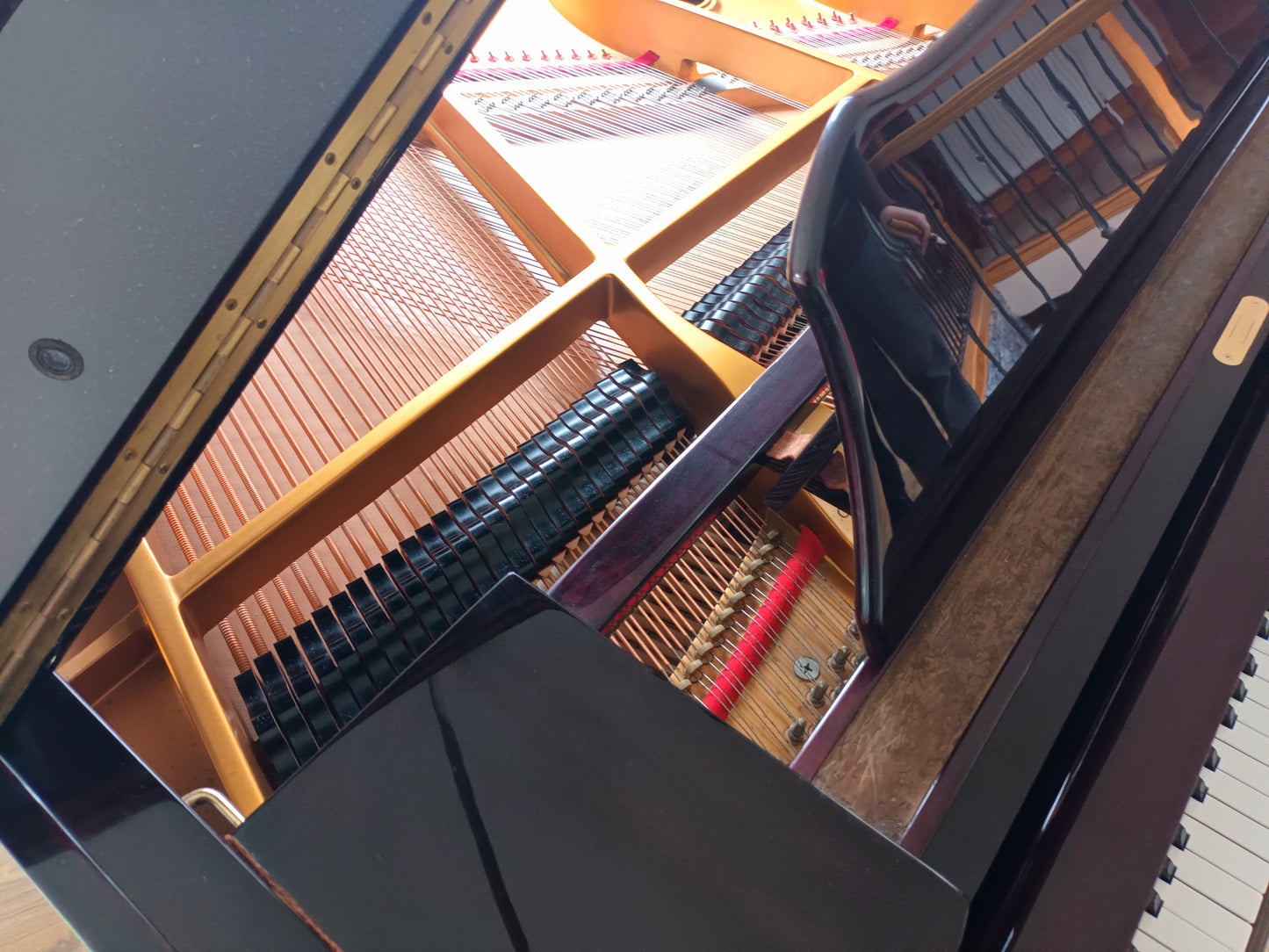 Young Chang TG150 (Beginner to Advanced)