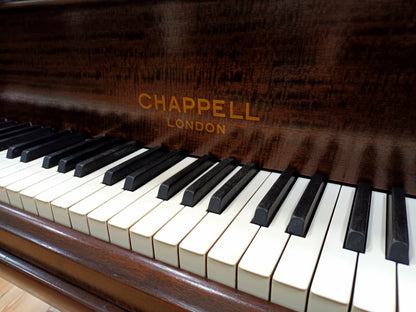 Chappell (Beginner to Advanced) *