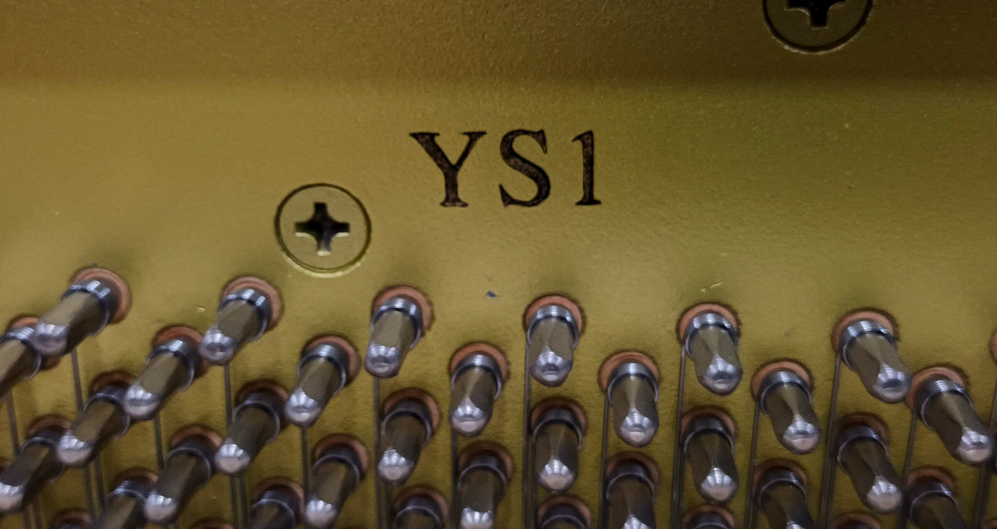 Yamaha YS1 (2016)
