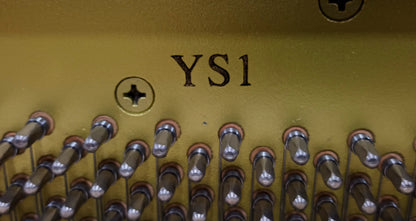 Yamaha YS1 (2016)