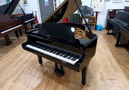 Carlmann (Beginner to Advanced)