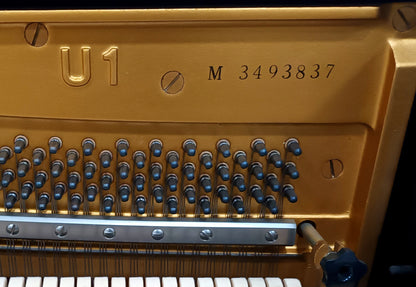 Yamaha U1 (RESERVED)