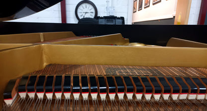 Yamaha G1 (Beginner to Advanced)