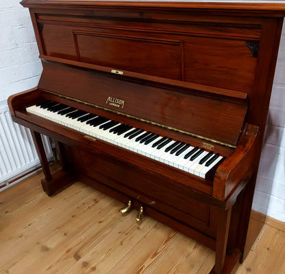 Allison (Beginner/Intermediate)