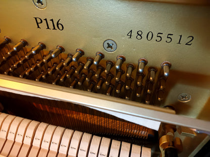 Yamaha P116 (1989)