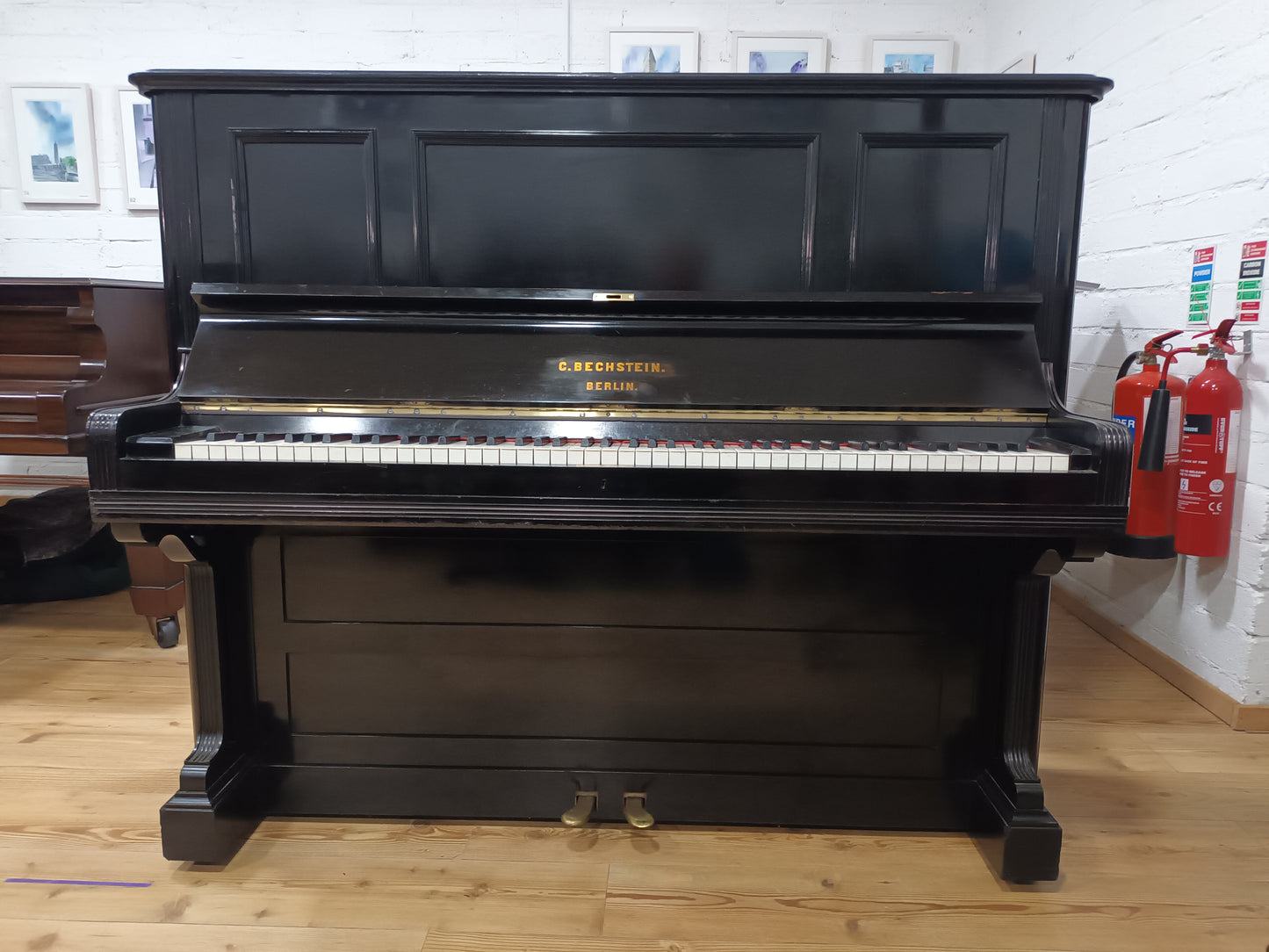 Bechstein (1894)