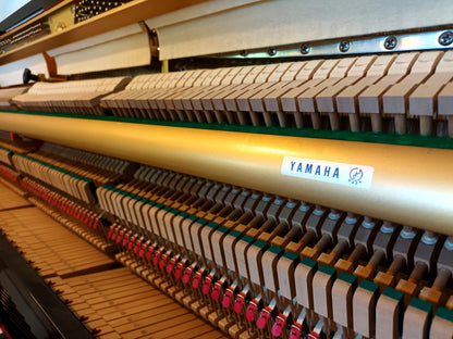 Yamaha P116 (1989)