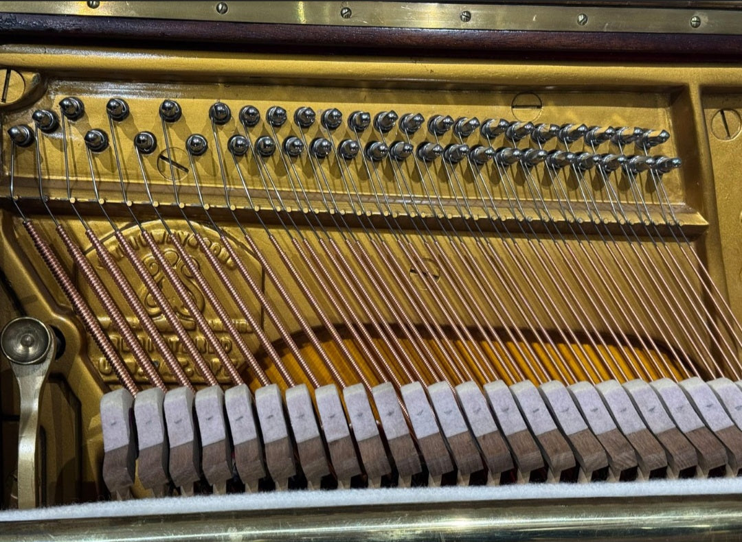 Steinway Model Z