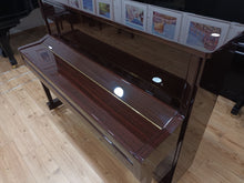 Load image into Gallery viewer, New Danemann DU-115 (Brown/Brass Fittings)