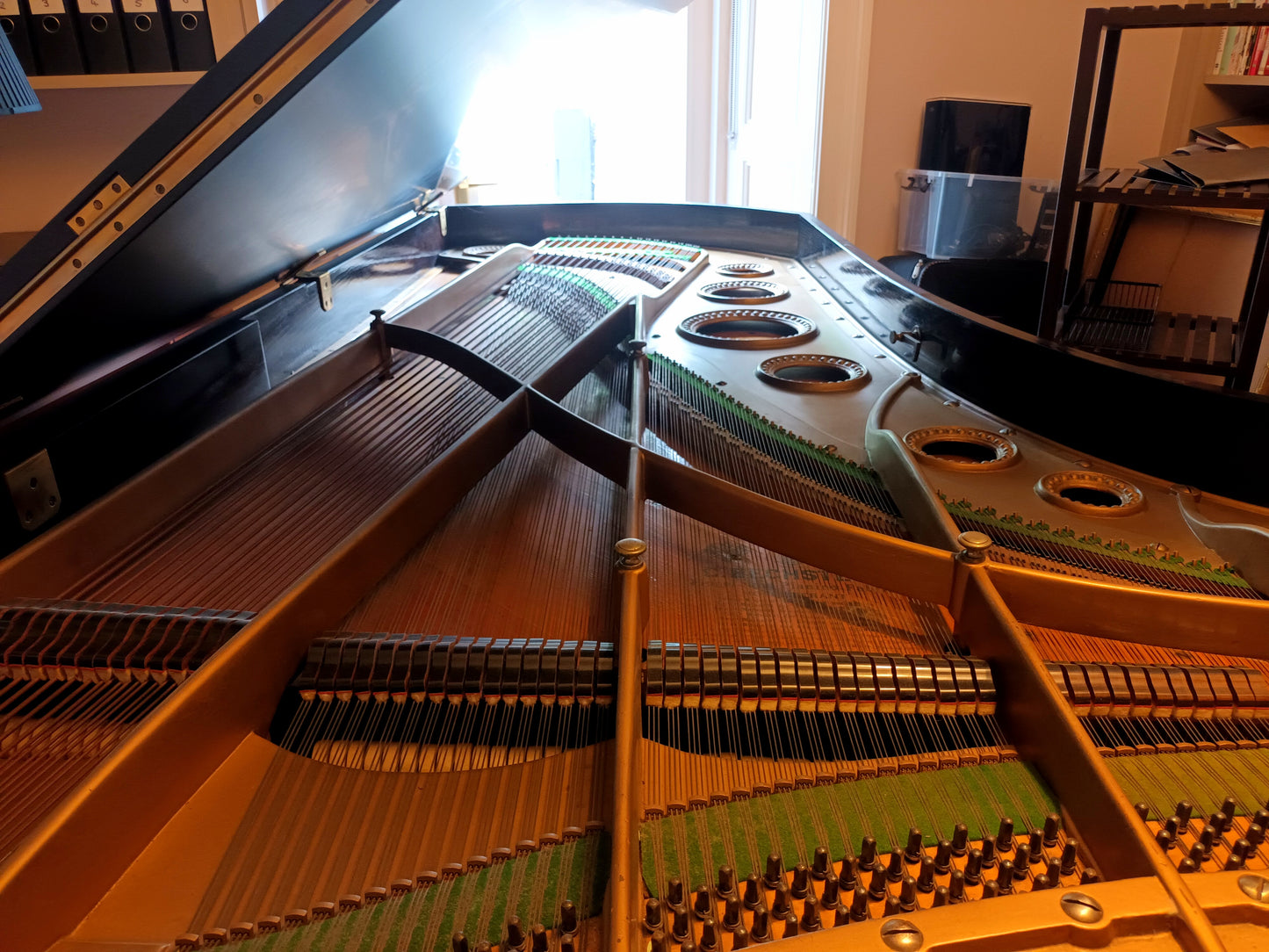 Bechstein (Satin Black)