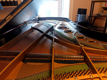Bechstein (Satin Black)