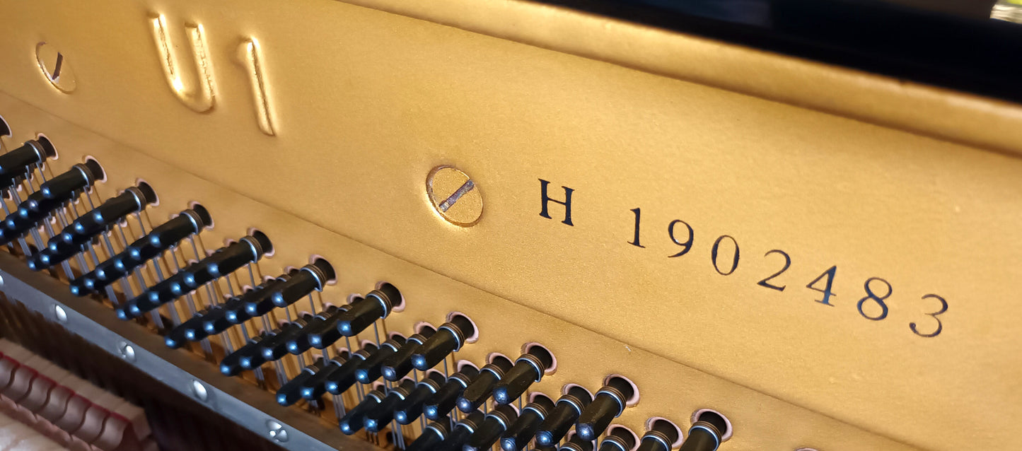 Yamaha U1 (Rebuilt)
