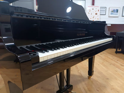 Yamaha G1 (Beginner to Advanced)