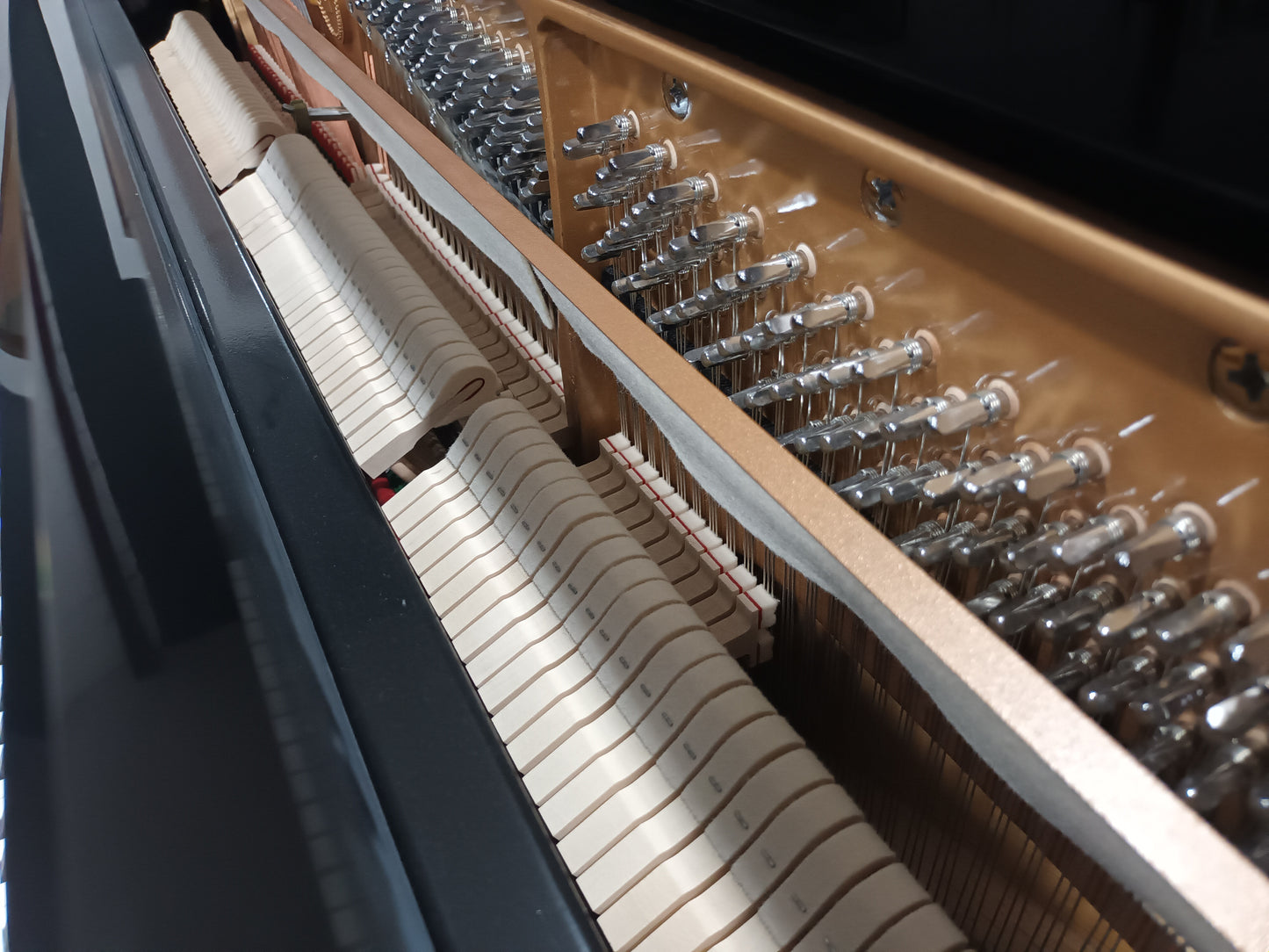 Steinhoven SU113