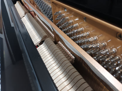 Steinhoven SU113