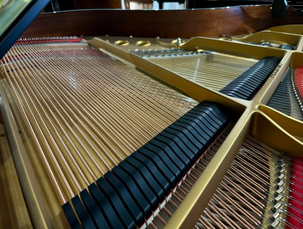 Steinway Model M