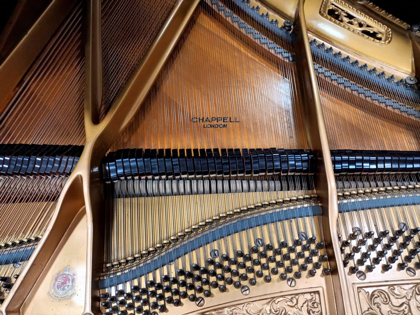 Chappell (Beginner to Advanced) *