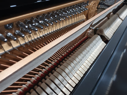 Steinhoven SU113