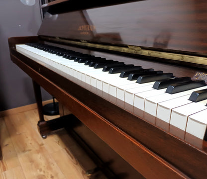 Hopkinson (Beginner/Intermediate)