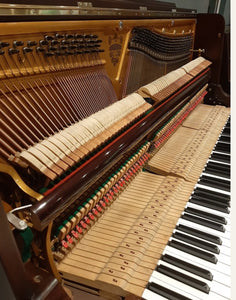 Hopkinson, London (Complete Restoration)