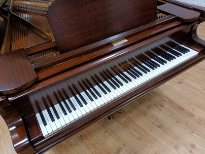 Chappell (Beginner to Advanced) *