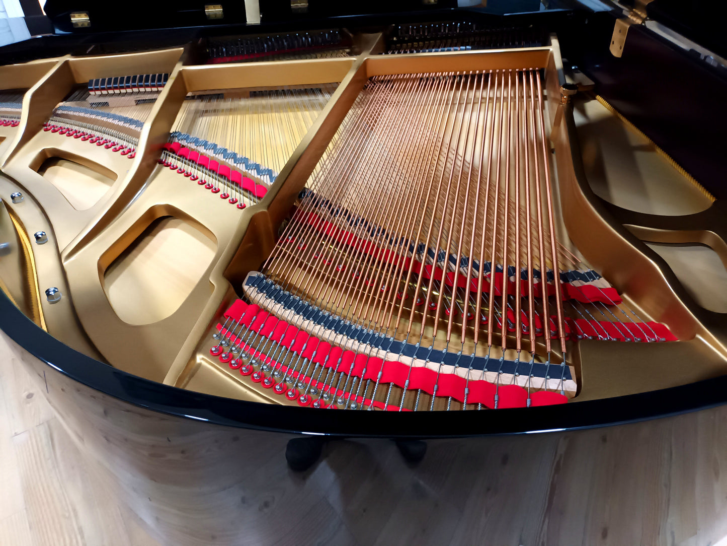 Carlmann (Beginner to Advanced)