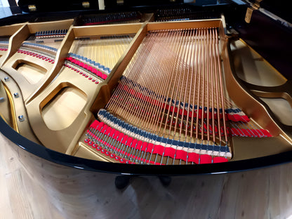 Carlmann (Beginner to Advanced)