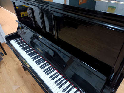 Samick (Beginner to Advanced)